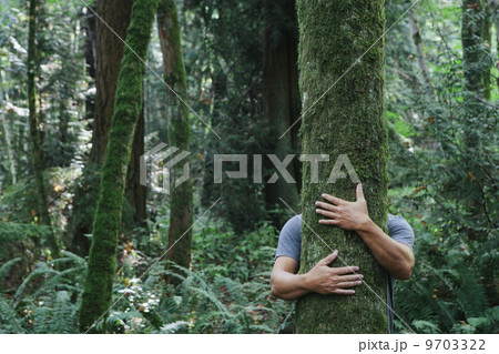 Man hugging tree in lush, green forest 9703322