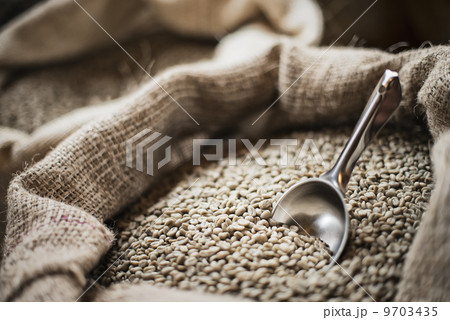 Full hessian sacks of beans and a metal scoop at a coffee bean processing shed, on a farm. Full hessian sacks of beans and a metal scoop at a coffee bean processing shed, on a farm. 9703435