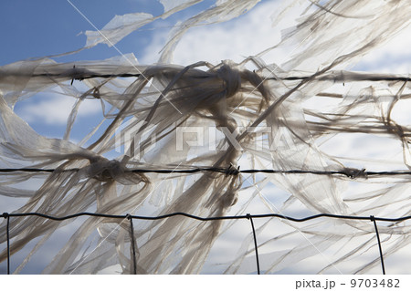 Plastic bags caught on a barbed wire fence Plastic bags caught on a barbed wire fence 9703482