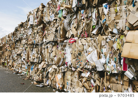 Recycling facility with bundles of cardboard sorted and tied up for recycling. 9703485