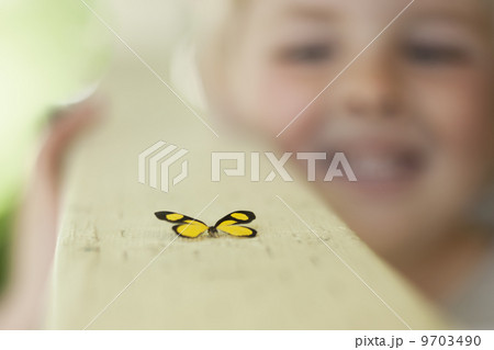 A child examining a butterfly, which has landed close by. A child examining a butterfly, which has landed close by. 9703490