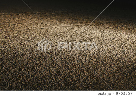 Dry cracked desert surface, at night in Black Rock Desert in Nevada, USA 9703557