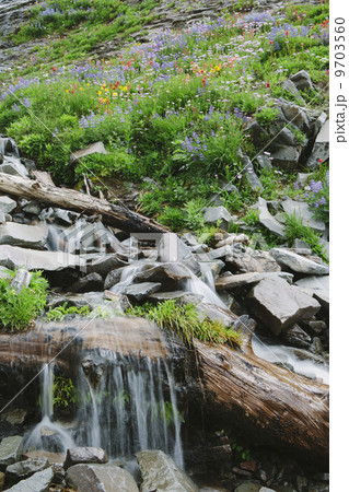 Cascading waterfall and blooming wildflowers 9703560