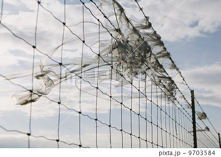 A shredded plastic bag caught on barbed wire fence A shredded plastic bag caught on barbed wire fence 9703584