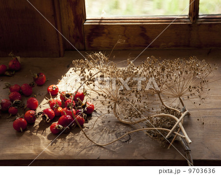 Collecting and storing the fruits of the garden for winter, dried seeds, herbs, nuts and vegetables. Seeds for the garden. Collecting and storing the fruits of the garden for winter, dried seeds, herbs, nuts and vegetables. Seeds for the garden. 9703636