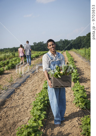 A boy holding a large wooden box of fresh vegetables, harvested from the fields. 9703653