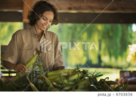 A woman with a heap of freshly picked sweet corn or maize cobs. 9703656