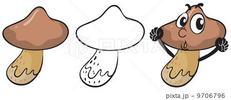 Mushrooms Mushrooms 9706796