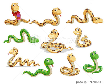 A group of voluptous snakes 9706818