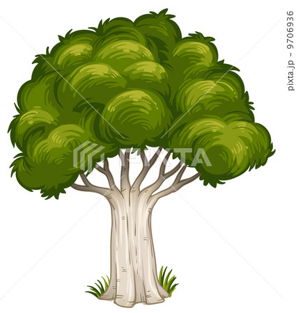 A shade of a big tree 9706936