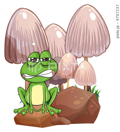 A sad frog near the mushrooms 9707237