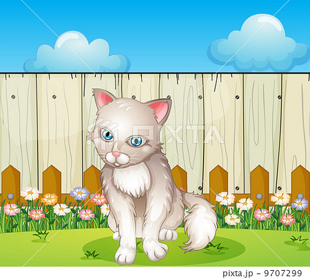 A sad cat near the wooden fence A sad cat near the wooden fence 9707299