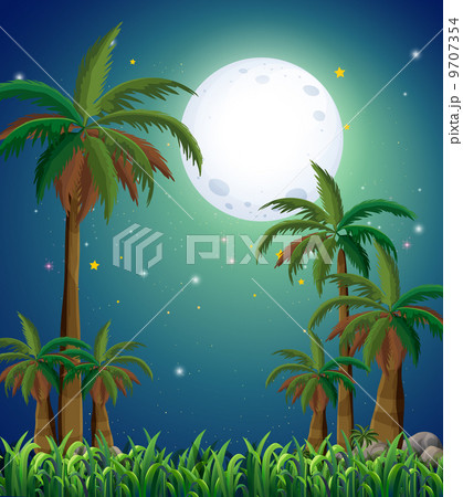 A view of the forest under the bright fullmoon 9707354