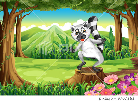 A playful lemur at the forest standing above the stump A playful lemur at the forest standing above the stump 9707363