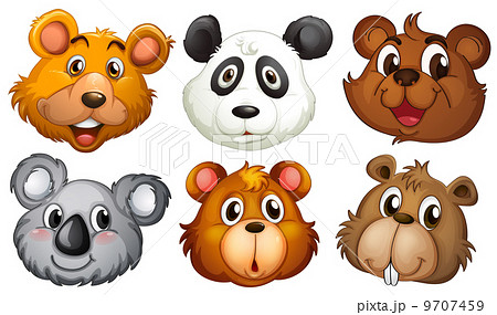 Six heads of bears 9707459