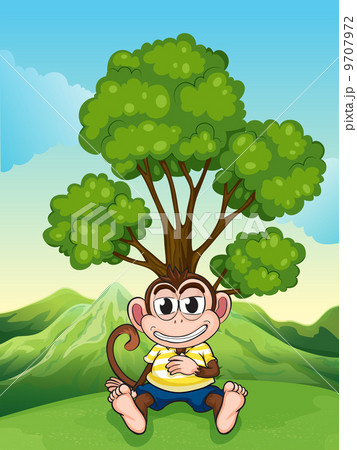 A monkey frowning under the tree at the hilltop A monkey frowning under the tree at the hilltop 9707972