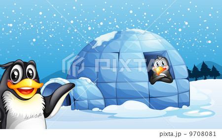 Penguins and the igloo Penguins and the igloo 9708081