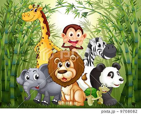 A bamboo forest with many animals A bamboo forest with many animals 9708082