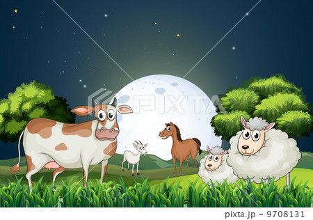 Animals at the forest strolling in the middle of the night 9708131