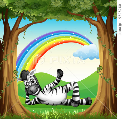 A zebra at the forest with a rainbow A zebra at the forest with a rainbow 9708260