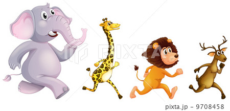 Four wild animals running 9708458