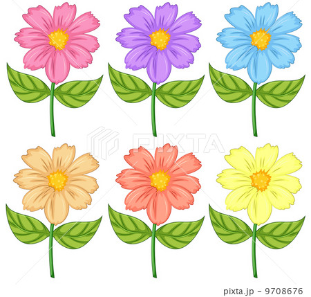 Six colorful flowers-插圖素材[9708676] - PIXTA圖庫