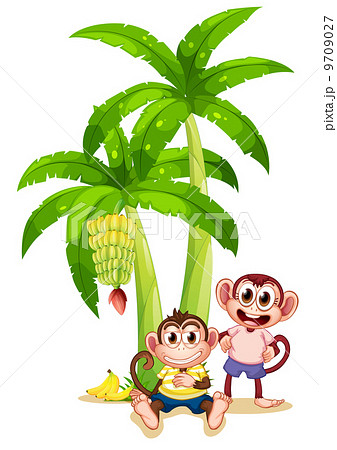 Two monkeys under the banana plants 9709027
