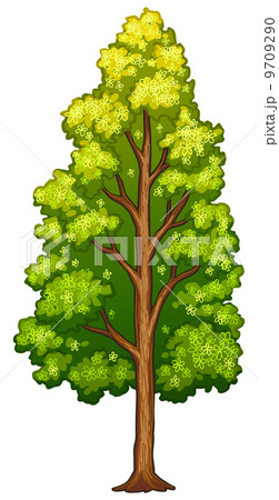 A tree A tree 9709290