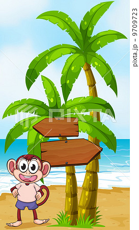 A beach with a monkey near the arrow signages A beach with a monkey near the arrow signages 9709723