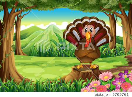 A forest with a turkey A forest with a turkey 9709761