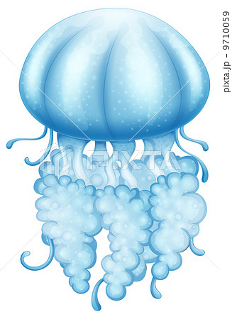 A blue jellyfish 9710059