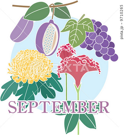 9月 ぶどう 花のイラスト素材