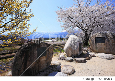 桜満開の安曇野 桜満開の安曇野 9710563