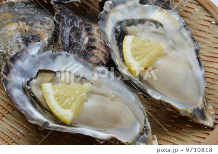 生牡蠣 9710818