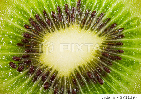 Kiwi fruit inside with seeds 9711397