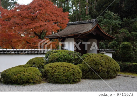 正伝寺、秋の庭園 9711672