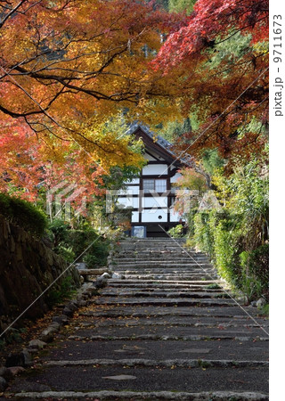 正伝寺の参道 正伝寺の参道 9711673