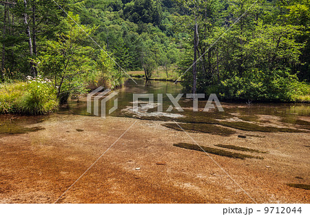 上高地／田代池 9712044