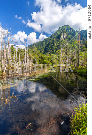 上高地／岳沢湿原 9712064