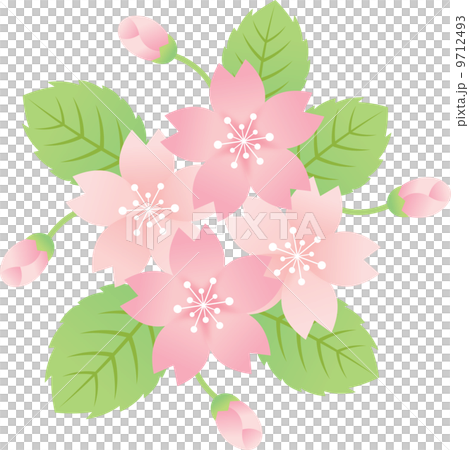 桜 9712493