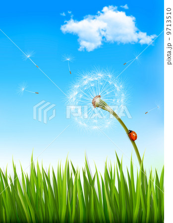 Nature background with a dandelion and a ladybug. Vector. Nature background with a dandelion and a ladybug. Vector. 9713510