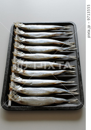 ししゃも 9713555