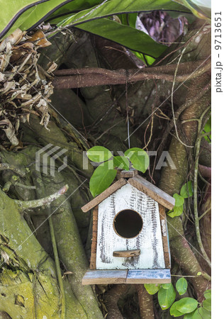 Bird house 9713651