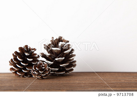 冬の飾り　横 9713708