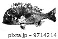 クロダイの魚拓 9714214