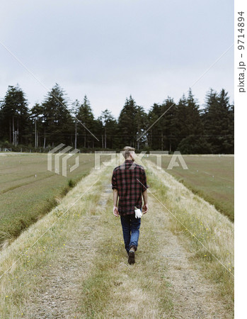 A cranberry farm in Massachusetts. Crops in the fields. A young man working on the land, harvesting the crop. 9714894