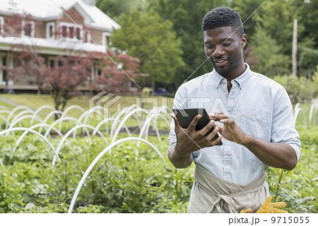 An organic horticultural nursery and farm outside Woodstock. A man using a digital tablet. 9715055