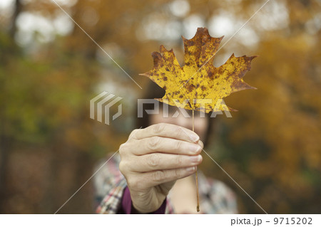 Woodland in autumn. A woman holding an autumnal leaf, a maple leaf in her hand. Woodland in autumn. A woman holding an autumnal leaf, a maple leaf in her hand. 9715202