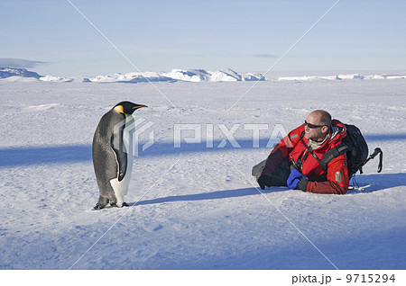 A man lying on his side on the ice, close to an emperor penguin standing motionless. 9715294