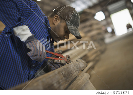 A man working in a reclaimed timber yard. Using a tool to remove metals from a reclaimed piece of timber. Workshop. 9715372